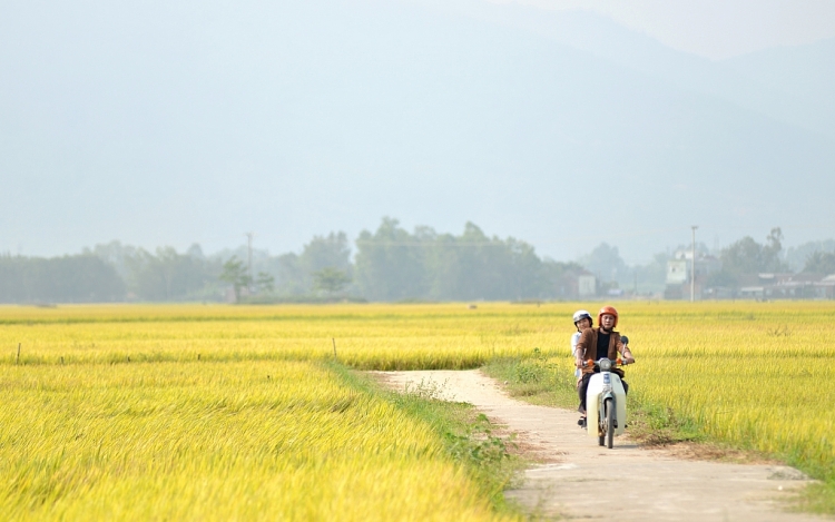 'Đinh sư phụ': Bước đột phá từ nhà sản xuất 'Nhất đại tông sư'