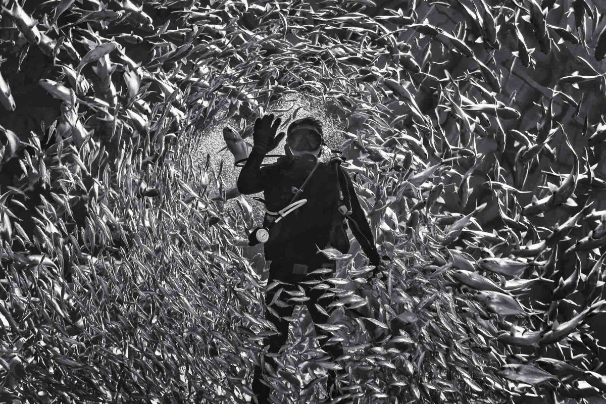 Khai mạc Triển lãm Cuộc thi Ảnh nghệ thuật Quốc tế lần thứ 13