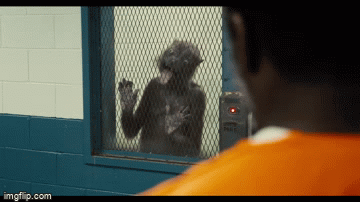 ‘Suicide squad’ tung trailer cực dị, phải chăng James Gunn đang bê nguyên công thức thành công của ‘Guardians of the galaxy’?