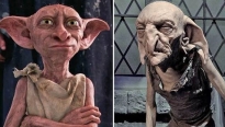 Hoài niệm hết cỡ với bộ sưu tập 'Easter egg' về 'Harry Potter' trong 'Sinh vật huyền bí: Những bí mật của Dumbledore'