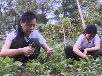 my nhan hanh dong ngoc thanh tam phuong anh dao len tieng ve hanh dong truong quynh anh giau do khien phuong oanh noi gian