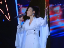 sao tim sao phi nhung thang than tu choi danh hieu ba hoang dong nhac dan ca