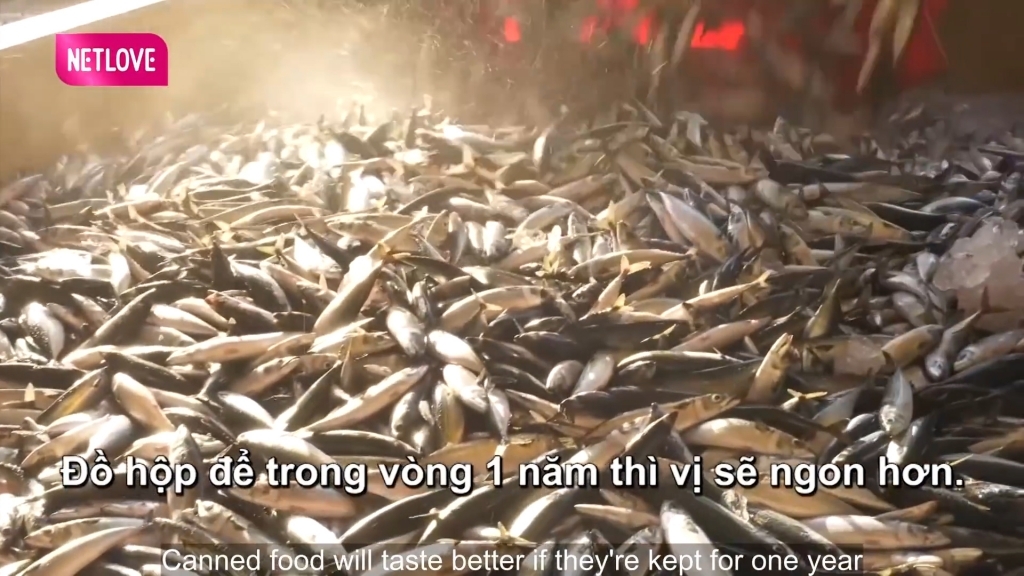 'Cơm Nhật gạo Việt': Cá đóng hộp bảo quản 100 năm có vị như thế nào?